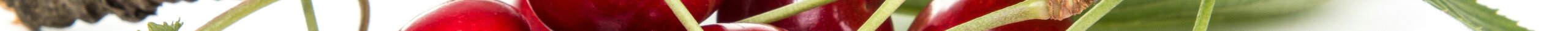 Ciliegia